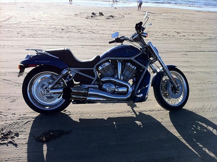 Harley Davidson v-rod - V-Rod 2008 billede 2