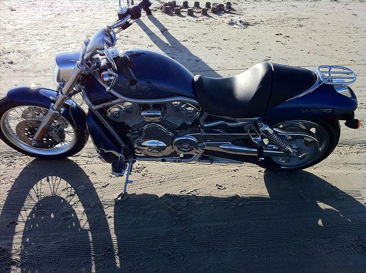 Harley Davidson v-rod - V-Rod 2008 billede 3