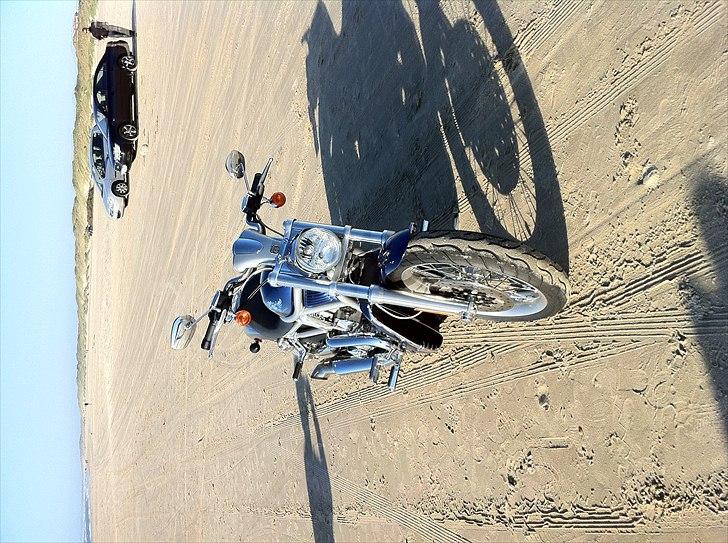 Harley Davidson v-rod - V-Rod 2008
 billede 4