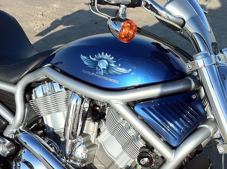 Harley Davidson v-rod - V-Rod 2008 billede 7