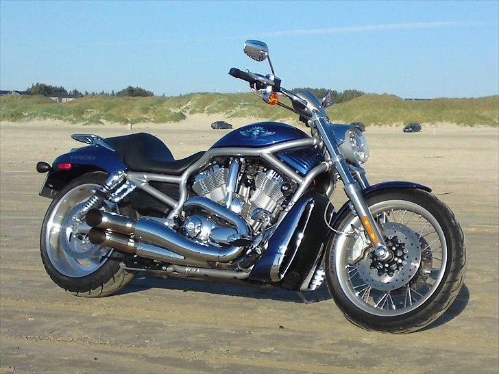 Harley Davidson v-rod billede 11