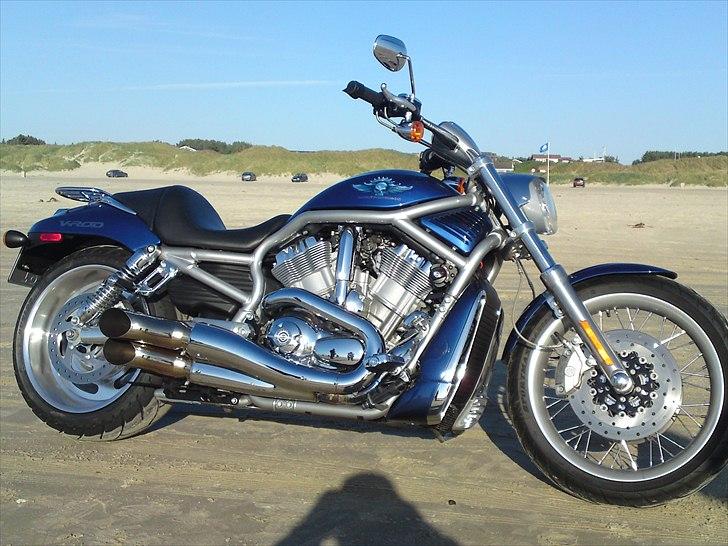 Harley Davidson v-rod billede 12