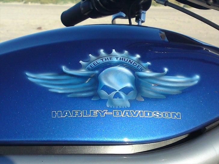 Harley Davidson v-rod billede 14