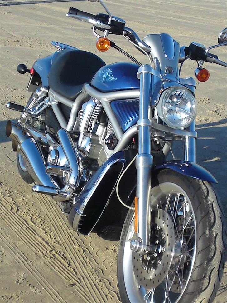 Harley Davidson v-rod billede 16