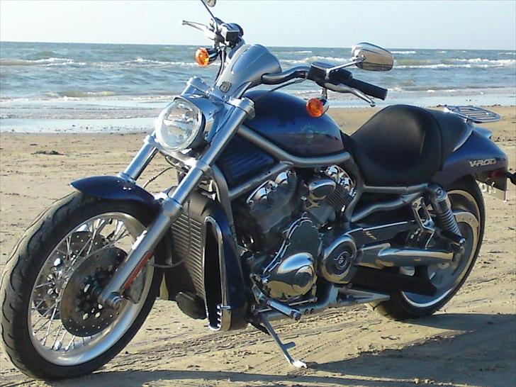 Harley Davidson v-rod billede 17