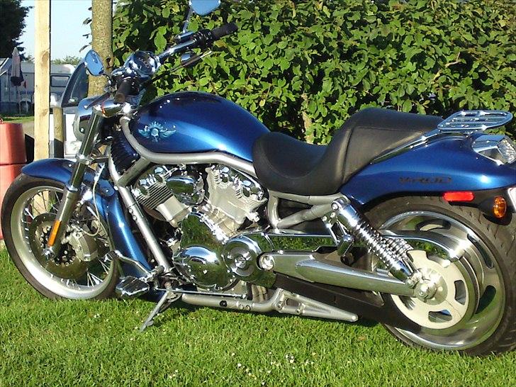 Harley Davidson v-rod billede 19