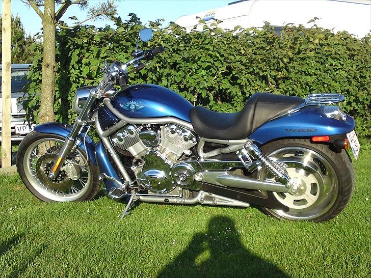 Harley Davidson v-rod billede 15
