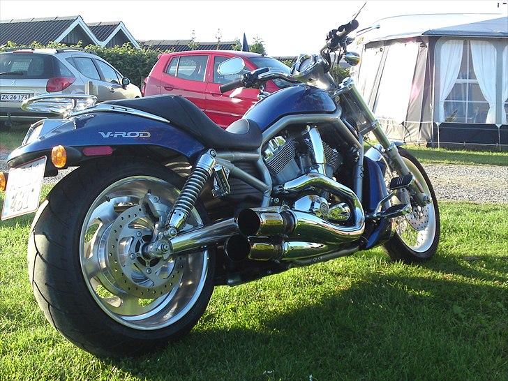 Harley Davidson v-rod billede 20