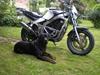 Suzuki gs 500