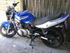 Suzuki GS500