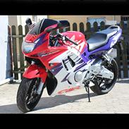 Honda CBR F3 - PC31 -DØD-