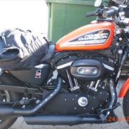 Harley Davidson Sporster R