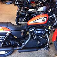 Harley Davidson Sporster R