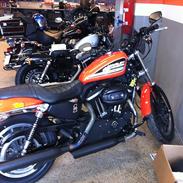 Harley Davidson Sporster R