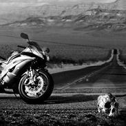 Yamaha Yzf R6