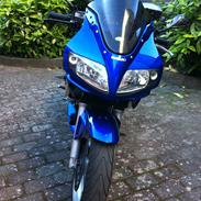 Suzuki SV 650s  Død 07-2011