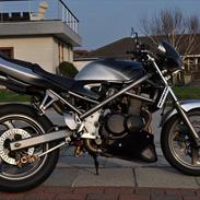 Suzuki bandit