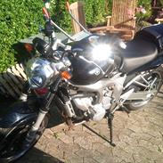 Yamaha FZ-6 N