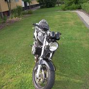 Honda CB 600 hornet