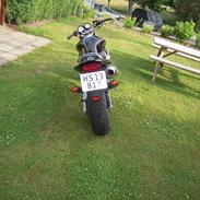 Honda CB 600 hornet
