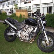 Honda CB 600 hornet