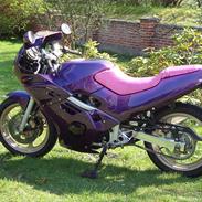 Suzuki gsxr 250