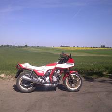 Honda cb900 boldor