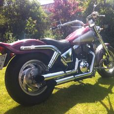 Suzuki VZ800 Marauder