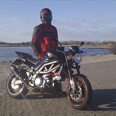 Suzuki SV 1000 N  Pumba