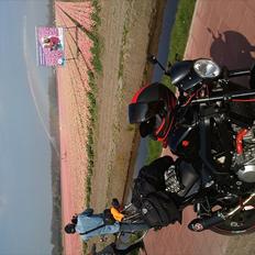 Suzuki SV 1000 N  Pumba