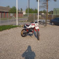 Yamaha XT 600 Z Ténéré 55W