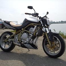 Kawasaki ER 6 n