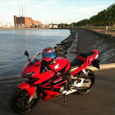 Honda CBR 600 RR