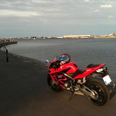 Honda CBR 600 RR