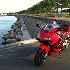Honda CBR 600 RR