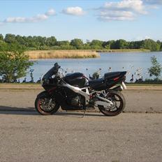 Honda CBR 900 rr