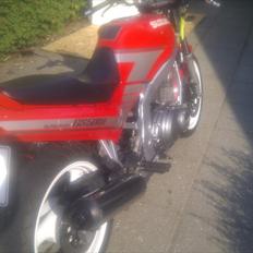 Suzuki GS500E