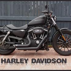 Harley Davidson 883 Iron