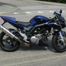 Suzuki SV 1000S