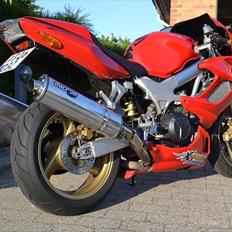 Honda VTR 1000 Firestorm "SOLGT"