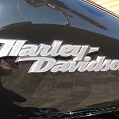 Harley Davidson FXDB Dyna Street Bob