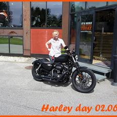 Harley Davidson 883 Iron