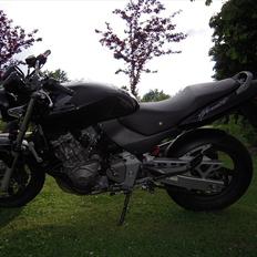 Honda CB 600 hornet 