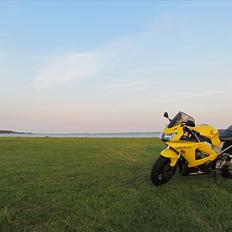 Honda Til salg CBR 929 Fireblade Sc44