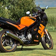 Suzuki GS 500 E *SOLGT*
