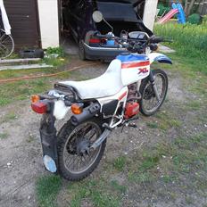 Honda XL 125 R Paris-Dakar