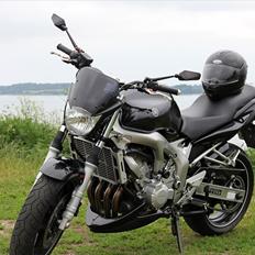 Yamaha Fz6