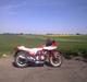 Honda cb900 boldor