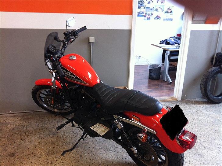 Harley Davidson Sporster R billede 2