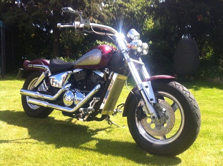 Suzuki VZ800 Marauder billede 2